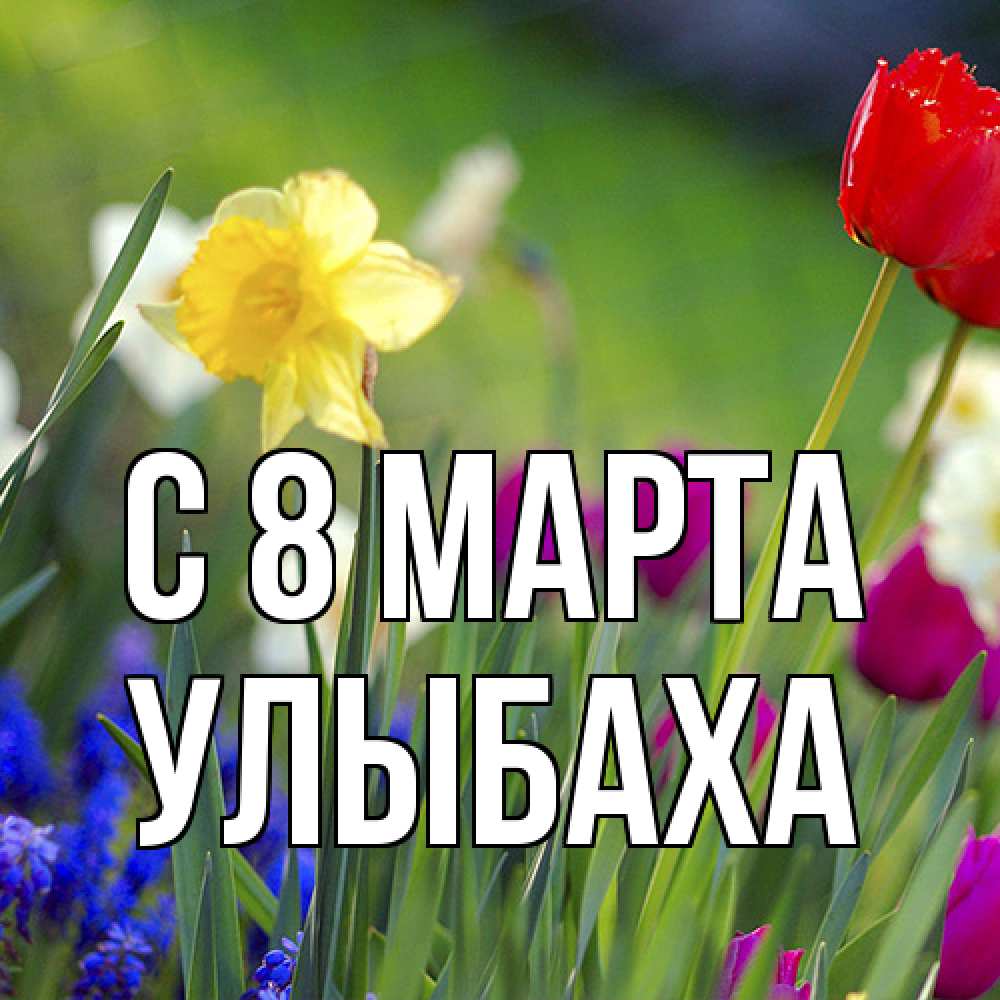 Открытка на каждый день с именем, Улыбаха C 8 МАРТА международный женский день 3 Прикольная открытка с пожеланием онлайн скачать бесплатно 