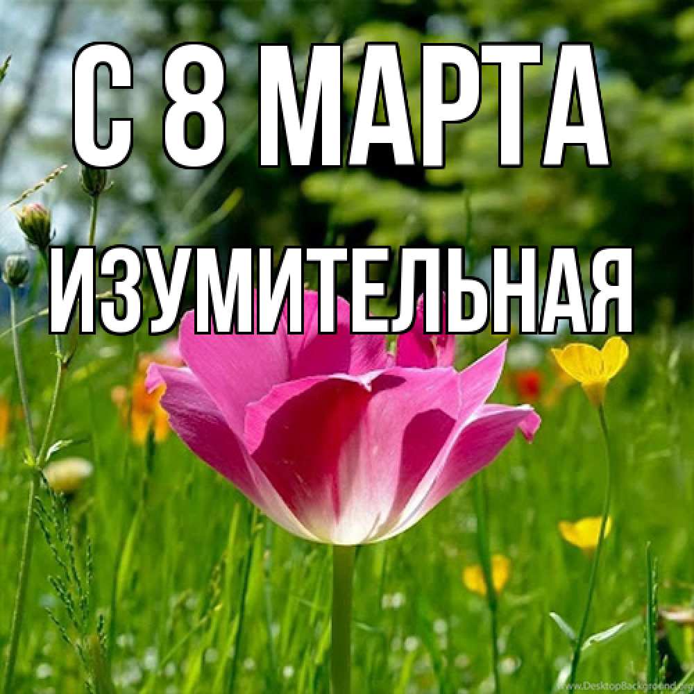 Открытка на каждый день с именем, изумительная C 8 МАРТА полевые цветы Прикольная открытка с пожеланием онлайн скачать бесплатно 