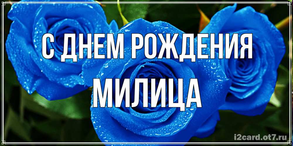 Открытка на каждый день с именем, Милица С днем рождения розы с синим цветом Прикольная открытка с пожеланием онлайн скачать бесплатно 