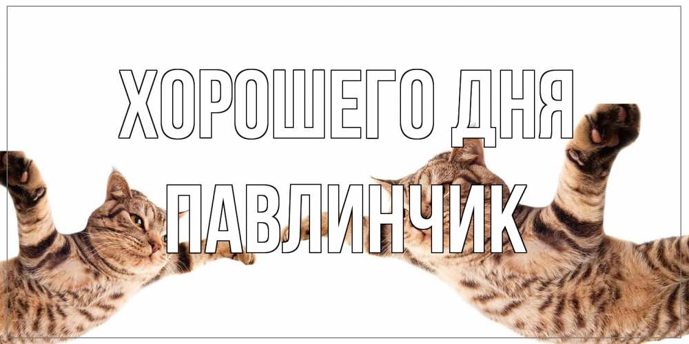Открытка на каждый день с именем, Павлинчик Хорошего дня хорошего дня Прикольная открытка с пожеланием онлайн скачать бесплатно 