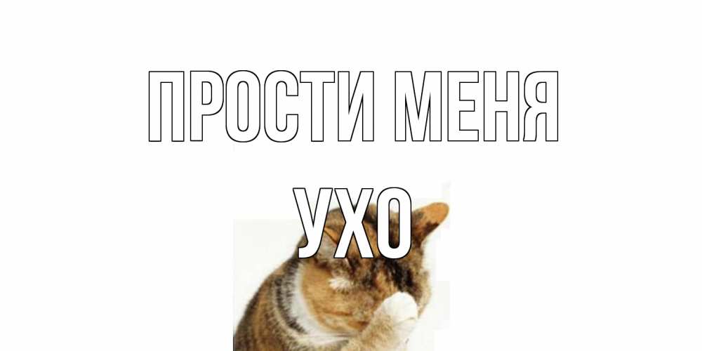 Открытка на каждый день с именем, Ухо Прости меня кот Прикольная открытка с пожеланием онлайн скачать бесплатно 