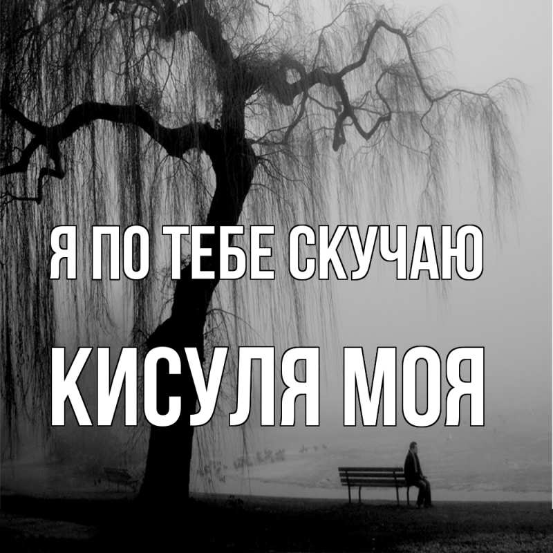 Картинка Я по тебе скучаю, Кисуля моя