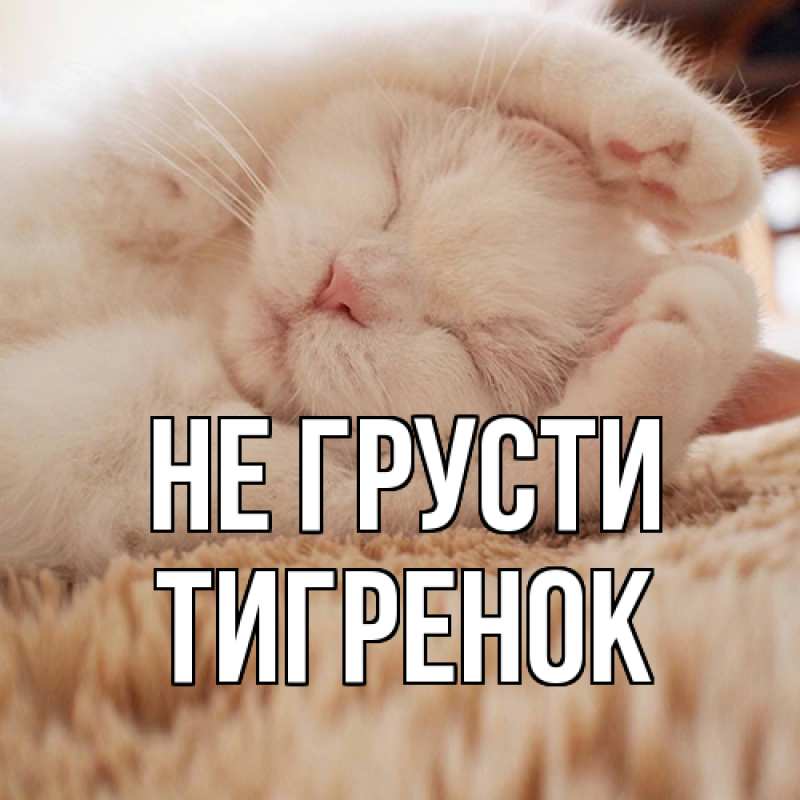Картинка Не грусти, Тигpенок