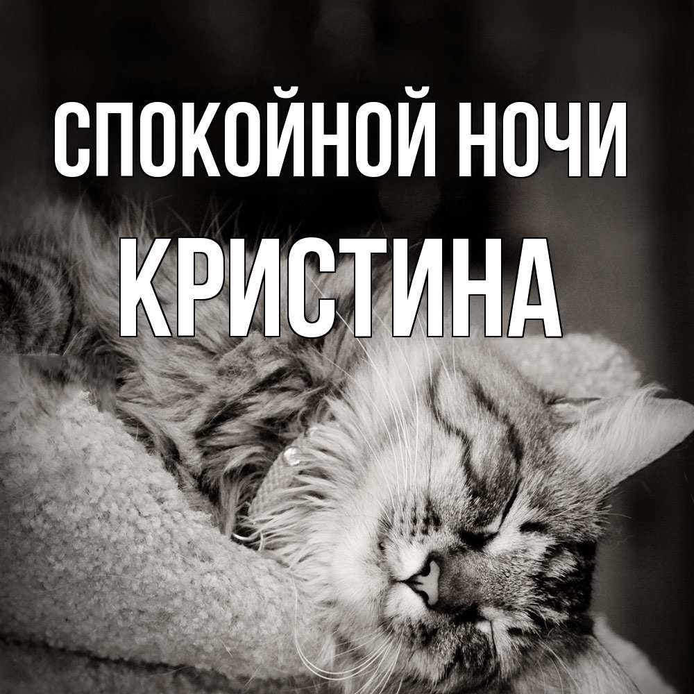 Открытка на каждый день с именем, Кристина Спокойной ночи котярик пушистый Прикольная открытка с пожеланием онлайн скачать бесплатно 