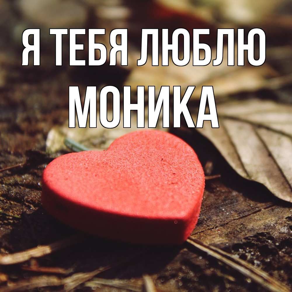 Открытка на каждый день с именем, Моника Я тебя люблю листья деревье 4 Прикольная открытка с пожеланием онлайн скачать бесплатно 