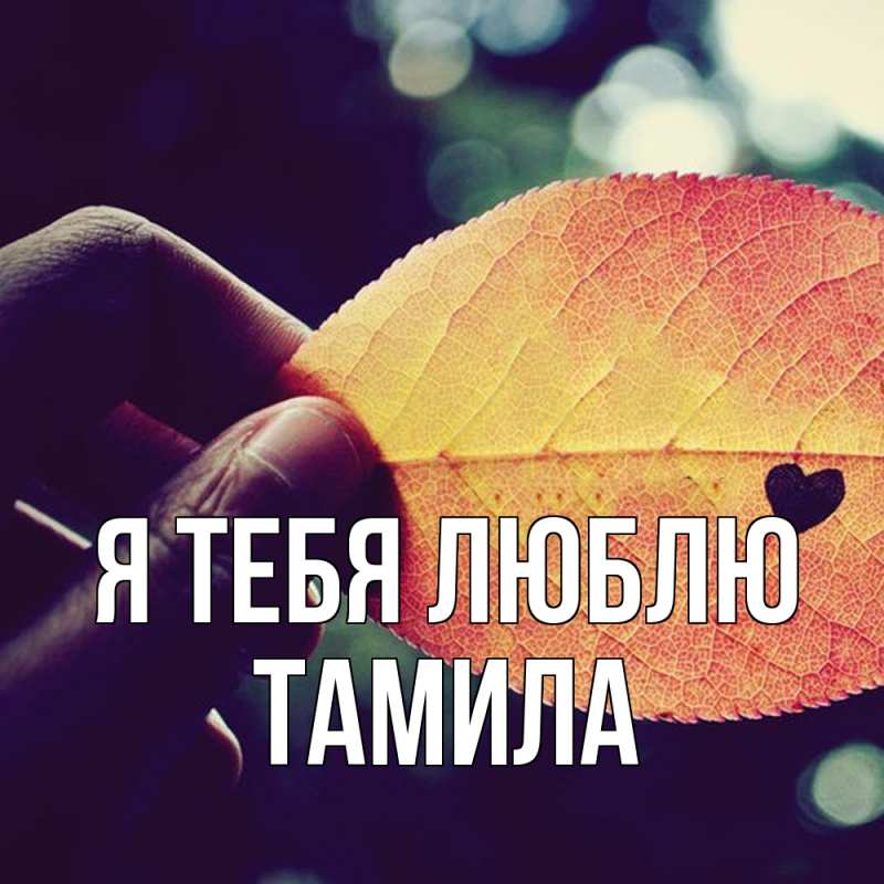 Картинка Я тебя люблю, ТАМИЛА