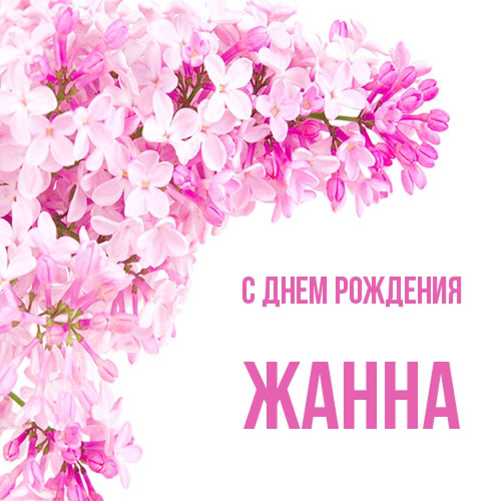 Открытка на каждый день с именем, Жанна С днем рождения Сирень на белом фоне Прикольная открытка с пожеланием онлайн скачать бесплатно 