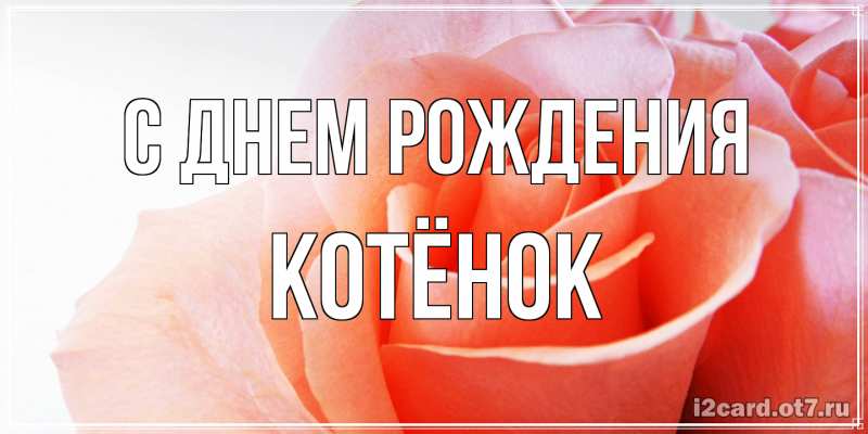 Картинка С днем рождения, Котёнок