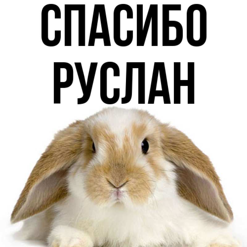 Картинка Спасибо, Руслан
