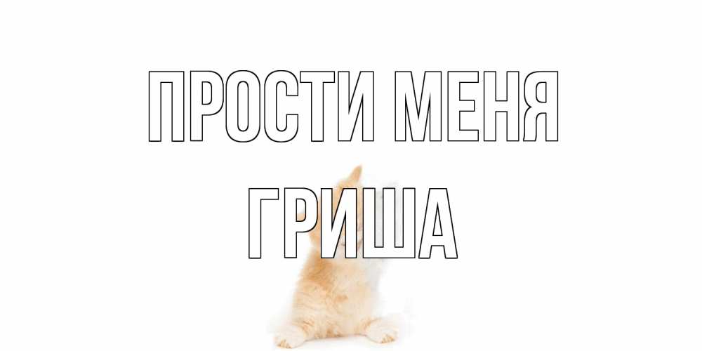 Открытка на каждый день с именем, Гриша Прости меня кот Прикольная открытка с пожеланием онлайн скачать бесплатно 