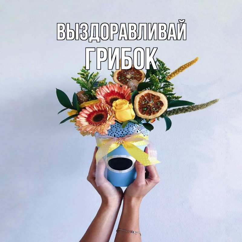 Картинка Выздоравливай, Грибок