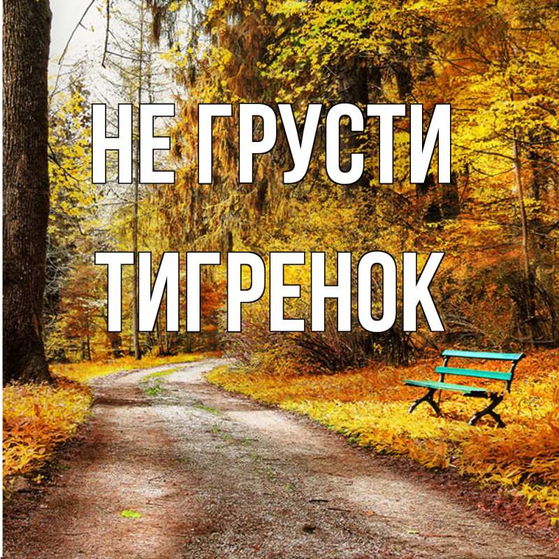 Картинка Не грусти, Тигpенок