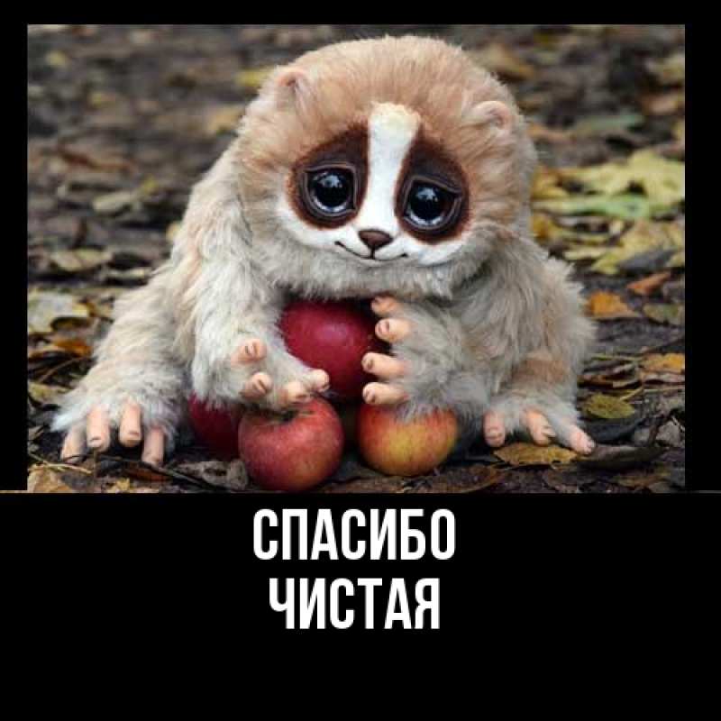 Картинка Спасибо, Чистая