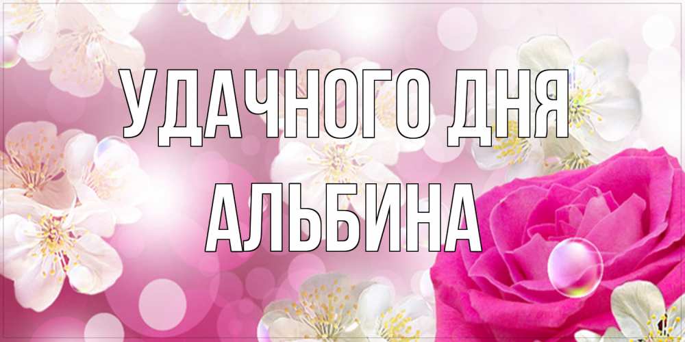 Открытка на каждый день с именем, Альбина Удачного дня красивые цветы Прикольная открытка с пожеланием онлайн скачать бесплатно 
