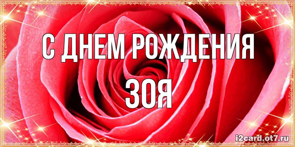 Открытка на каждый день с именем, Зоя С днем рождения розовая роза очень крупный бутон Прикольная открытка с пожеланием онлайн скачать бесплатно 
