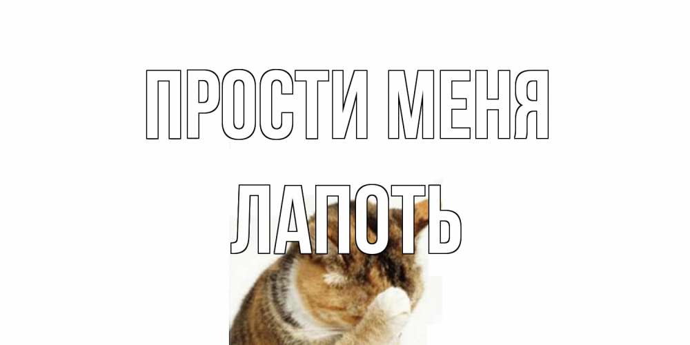 Открытка на каждый день с именем, Лапоть Прости меня кот Прикольная открытка с пожеланием онлайн скачать бесплатно 