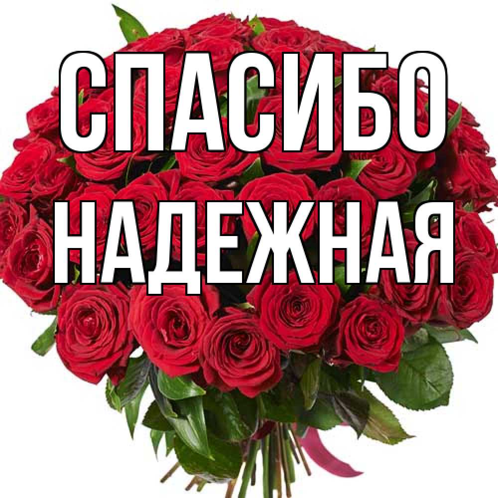 Открытка на каждый день с именем, надежная Спасибо букет красных роз Прикольная открытка с пожеланием онлайн скачать бесплатно 