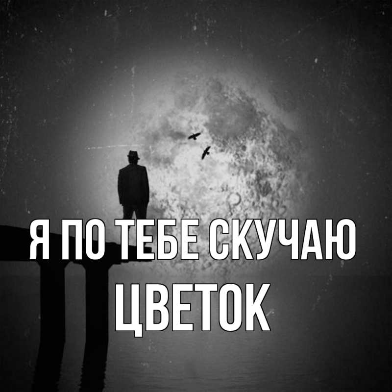 Картинка Я по тебе скучаю, Цветок