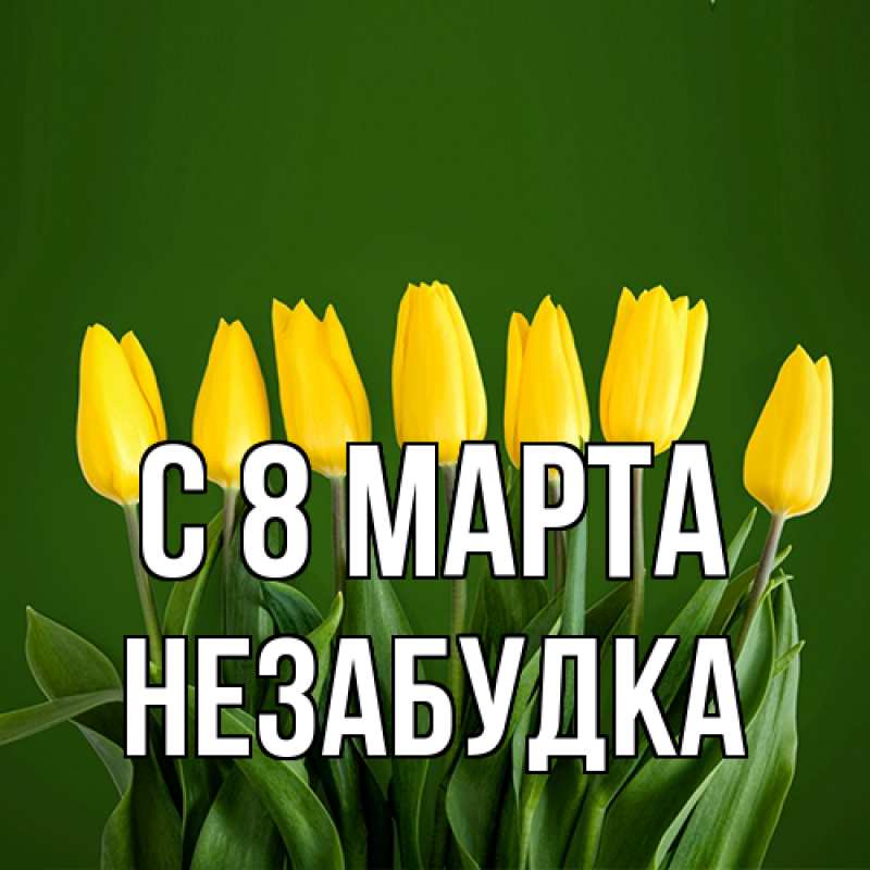 Картинка C 8 МАРТА, Незабудка