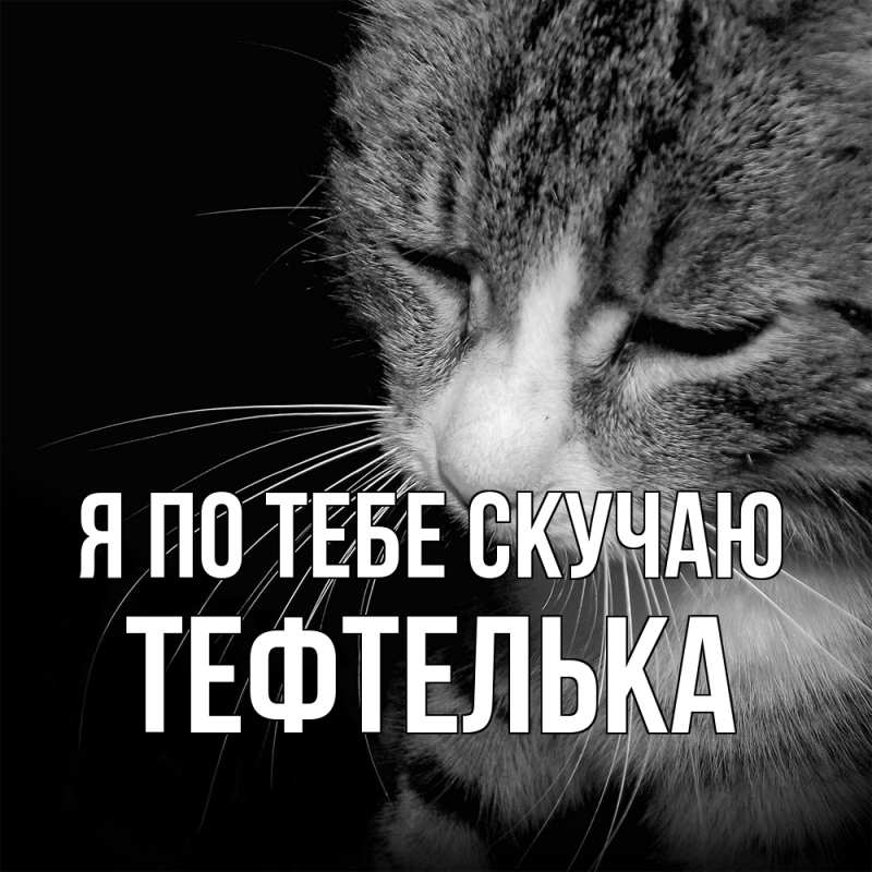 Картинка Я по тебе скучаю, тефтелька