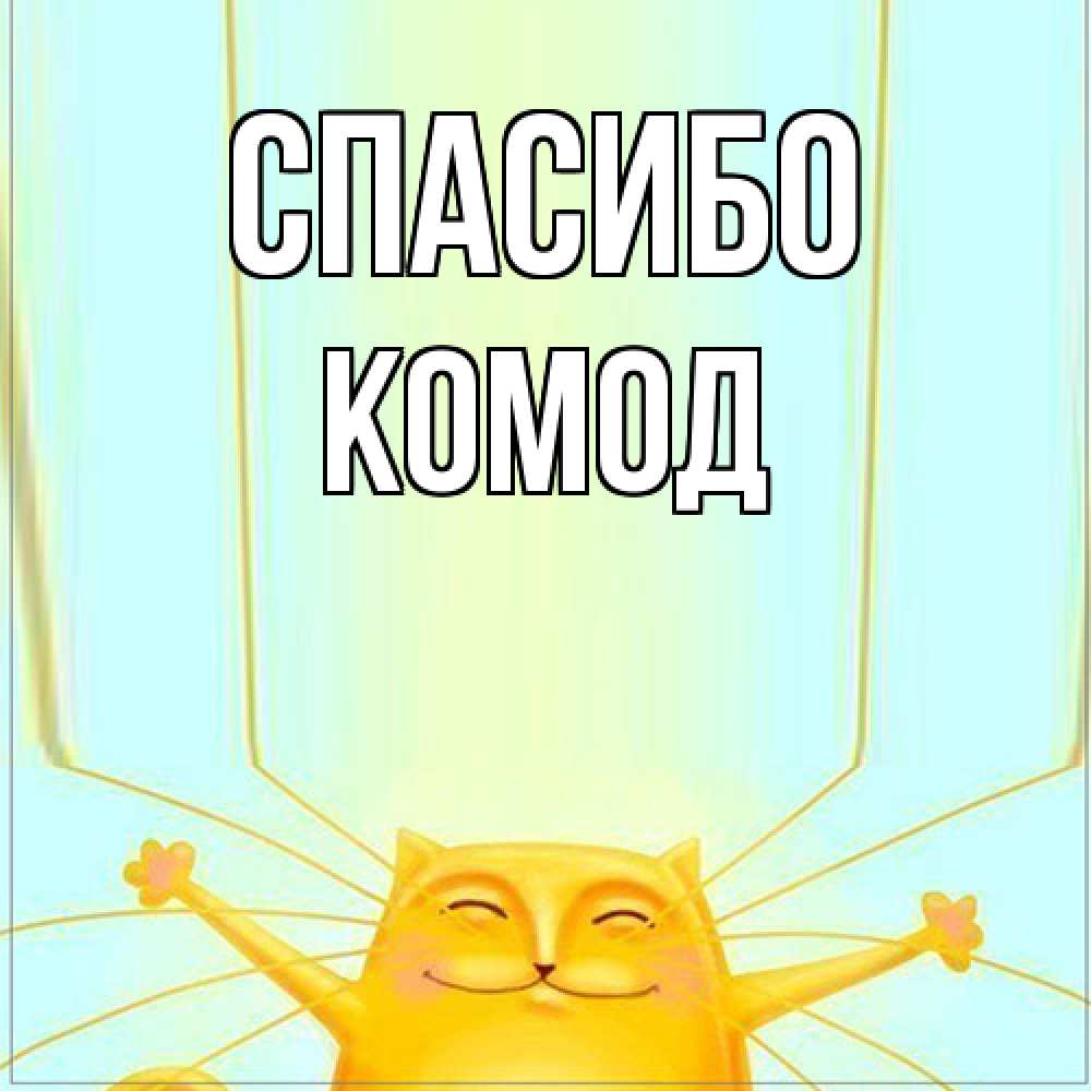 Открытка на каждый день с именем, Комод Спасибо кот с усами благодарит Прикольная открытка с пожеланием онлайн скачать бесплатно 