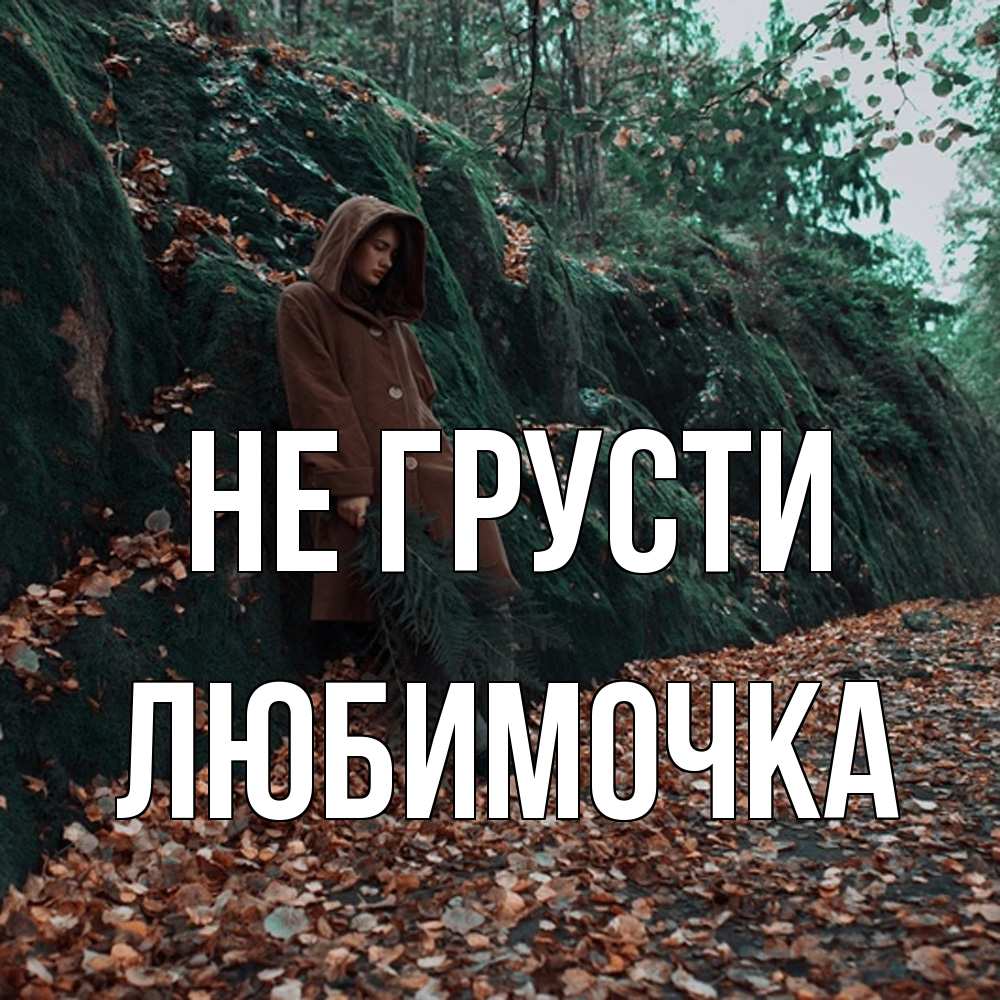 Открытка на каждый день с именем, Любимочка Не грусти осенний лес Прикольная открытка с пожеланием онлайн скачать бесплатно 