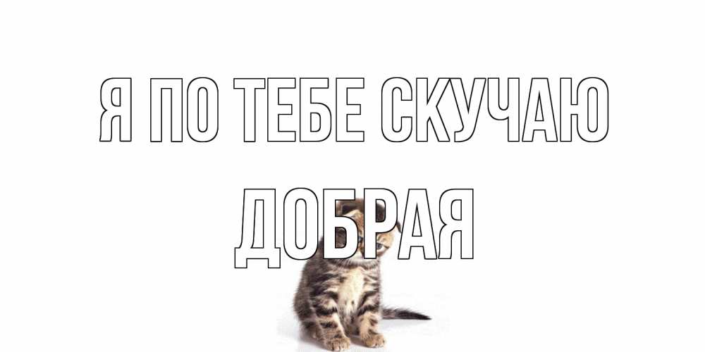 Открытка на каждый день с именем, Добрая Я по тебе скучаю кот Прикольная открытка с пожеланием онлайн скачать бесплатно 