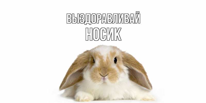 Картинка Выздоравливай, Hосик