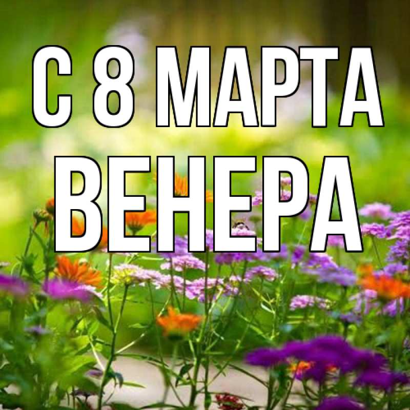Картинка C 8 МАРТА, Венера