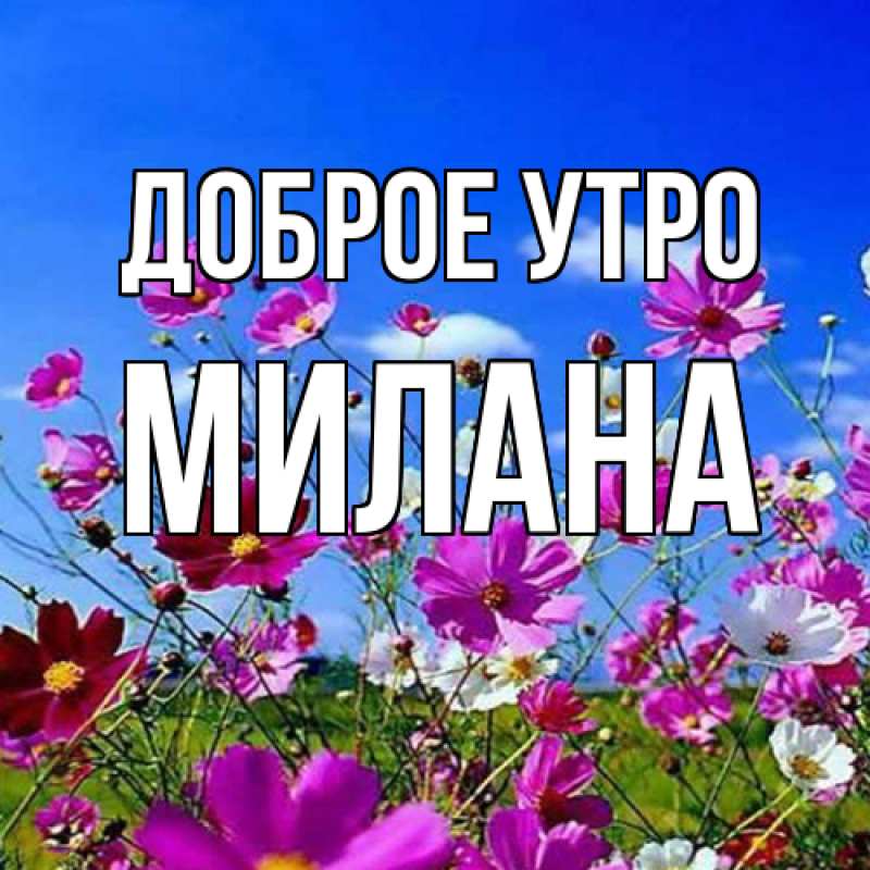 Картинка Доброе утро, Милана
