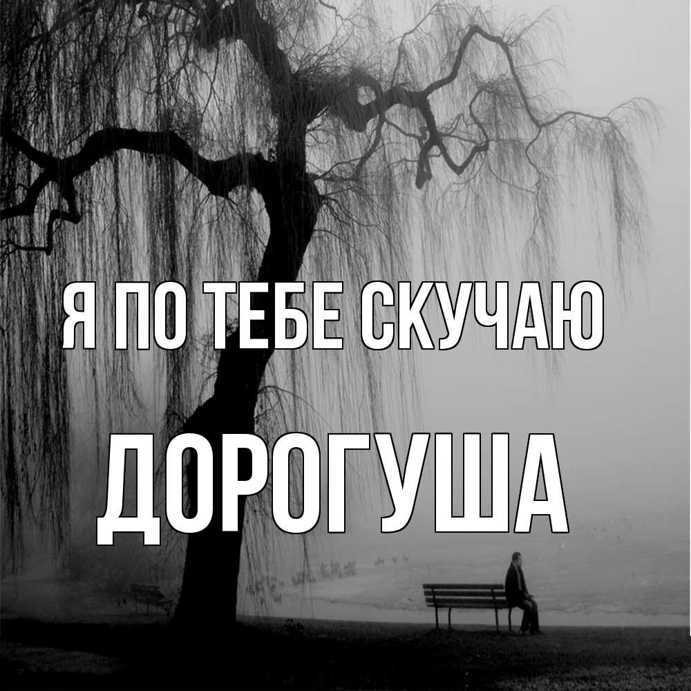 Открытка на каждый день с именем, дорогуша Я по тебе скучаю лавочка под деревом я жду тебя Прикольная открытка с пожеланием онлайн скачать бесплатно 