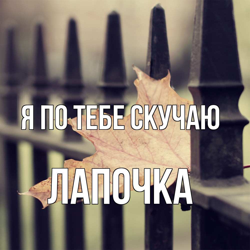 Открытка на каждый день с именем, лапочка Я по тебе скучаю очень скучно Прикольная открытка с пожеланием онлайн скачать бесплатно 