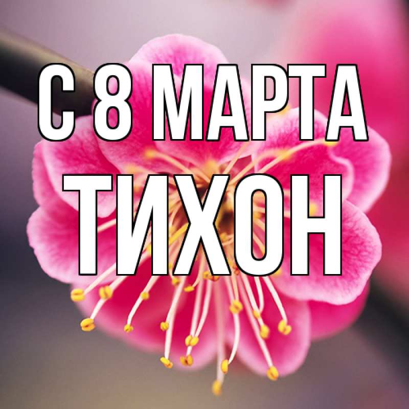 Картинка C 8 МАРТА, Тихон