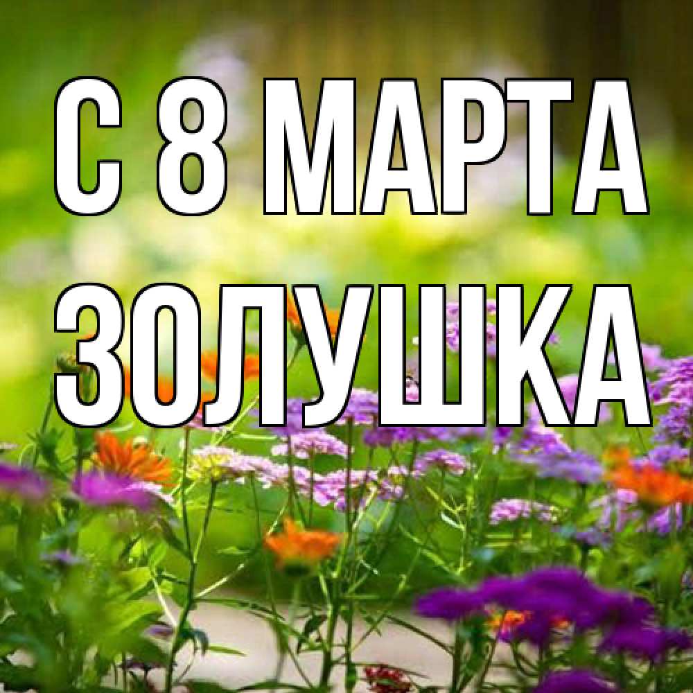 Открытка на каждый день с именем, Золушка C 8 МАРТА цветы Прикольная открытка с пожеланием онлайн скачать бесплатно 