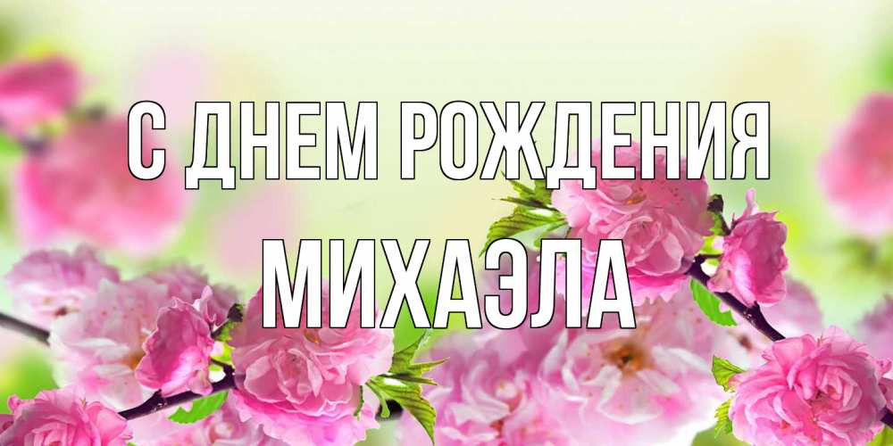 Открытка на каждый день с именем, Михаэла С днем рождения веточки с цветками Прикольная открытка с пожеланием онлайн скачать бесплатно 