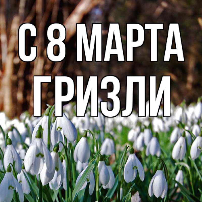 Картинка C 8 МАРТА, Гризли