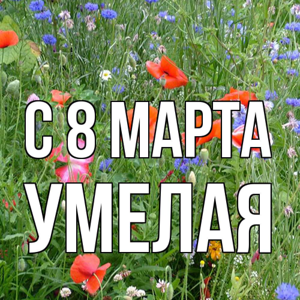 Открытка на каждый день с именем, Умелая C 8 МАРТА международный женский день 4 Прикольная открытка с пожеланием онлайн скачать бесплатно 