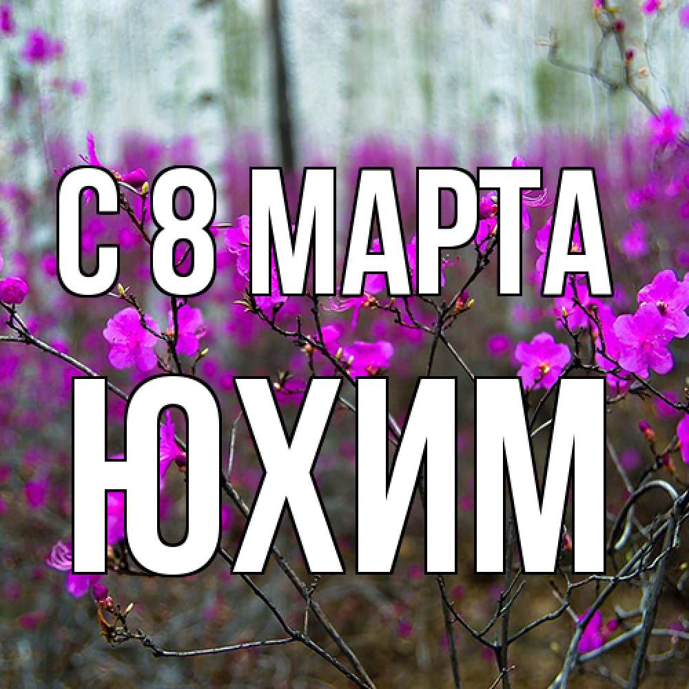 Открытка на каждый день с именем, Юхим C 8 МАРТА дикие цветы Прикольная открытка с пожеланием онлайн скачать бесплатно 