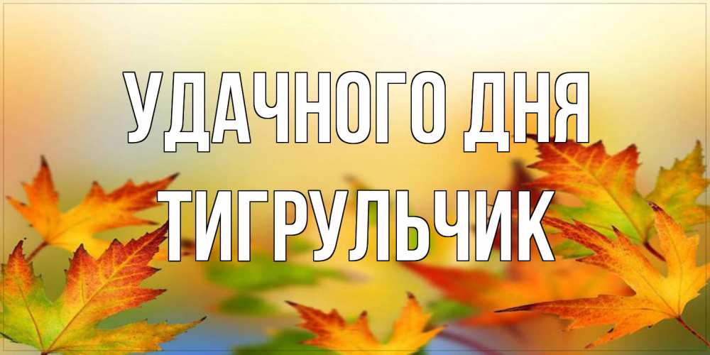 Открытка на каждый день с именем, Тигpульчик Удачного дня открытка с пожеланием хорошего осеннего дня Прикольная открытка с пожеланием онлайн скачать бесплатно 