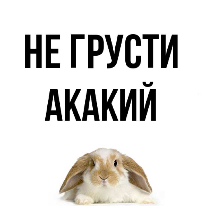 Картинка Не грусти, Акакий