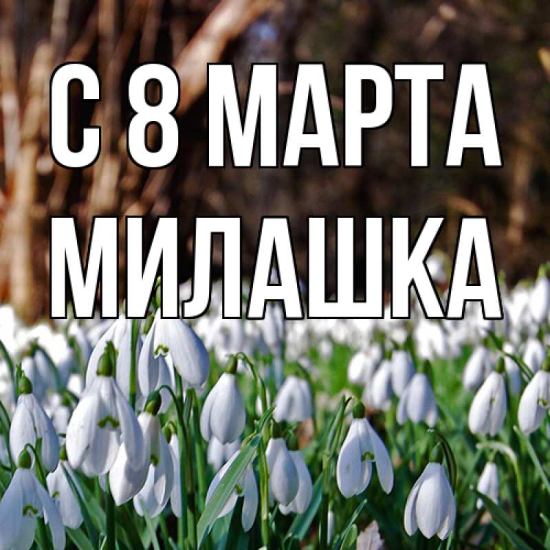 Картинка C 8 МАРТА, Милашка