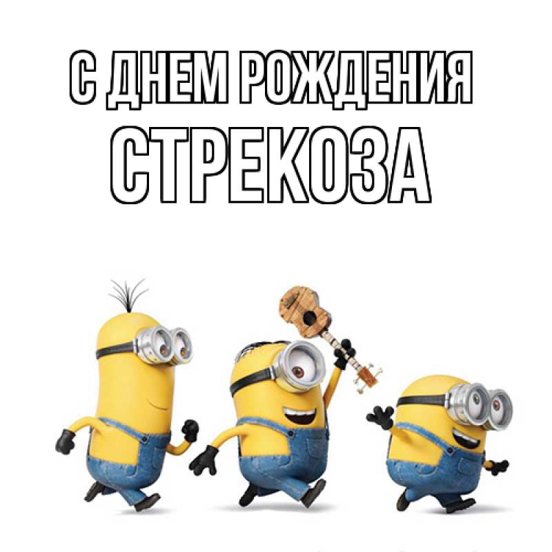 Картинка С днем рождения, Стрекоза