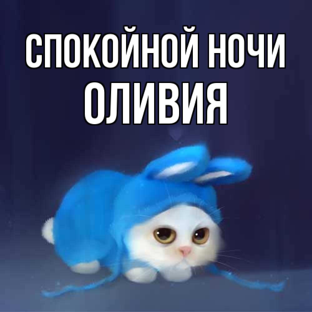 Открытка на каждый день с именем, Оливия Спокойной ночи кот в голубом костюме кролика с ушками Прикольная открытка с пожеланием онлайн скачать бесплатно 