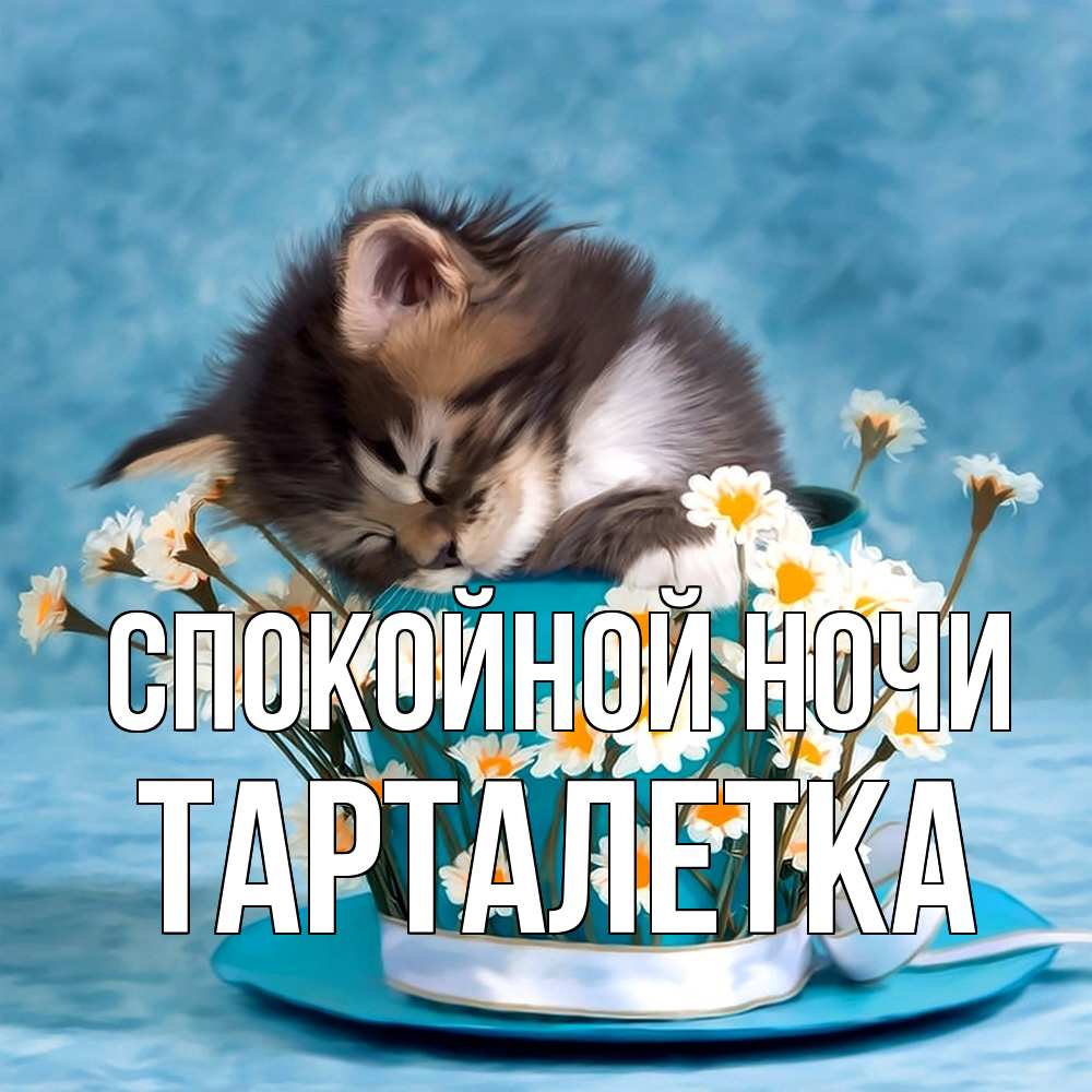 Открытка на каждый день с именем, Тарталетка Спокойной ночи котенок спит в кружке с блюдцем Прикольная открытка с пожеланием онлайн скачать бесплатно 