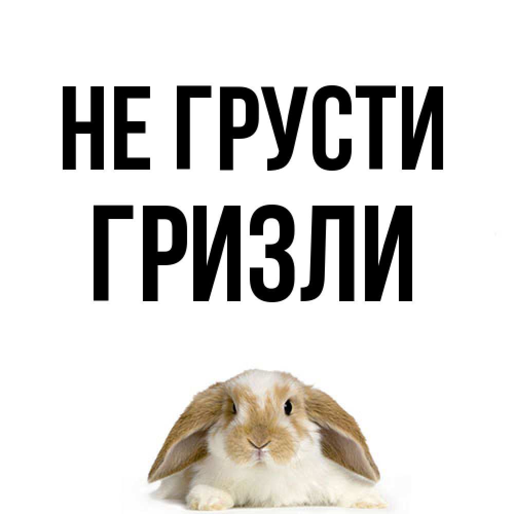 Открытка на каждый день с именем, Гризли Не грусти коричнево белый заяц с большими ушками Прикольная открытка с пожеланием онлайн скачать бесплатно 