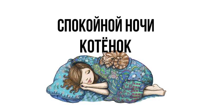 Картинка Спокойной ночи, Котёнок