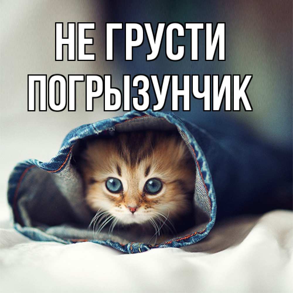 Открытка на каждый день с именем, Погрызунчик Не грусти рыжик котик Прикольная открытка с пожеланием онлайн скачать бесплатно 