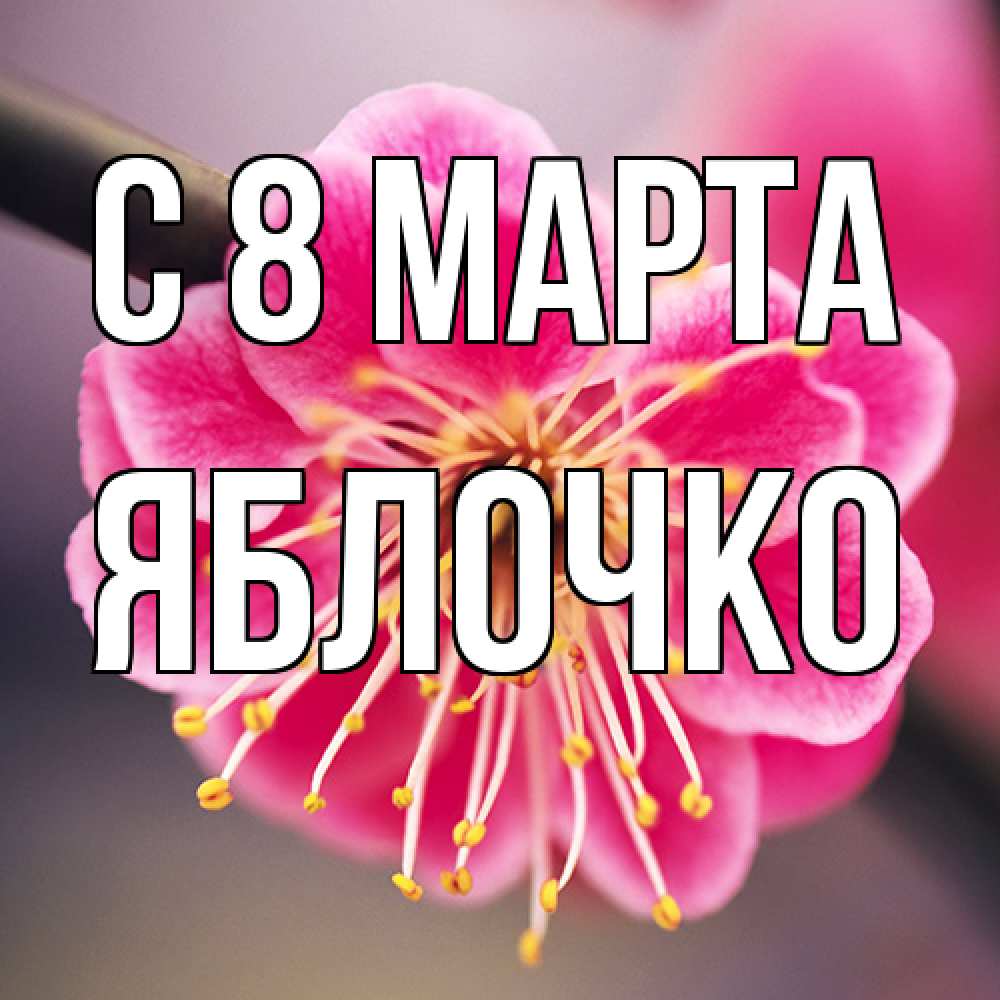 Открытка на каждый день с именем, яблочко C 8 МАРТА цветы Прикольная открытка с пожеланием онлайн скачать бесплатно 