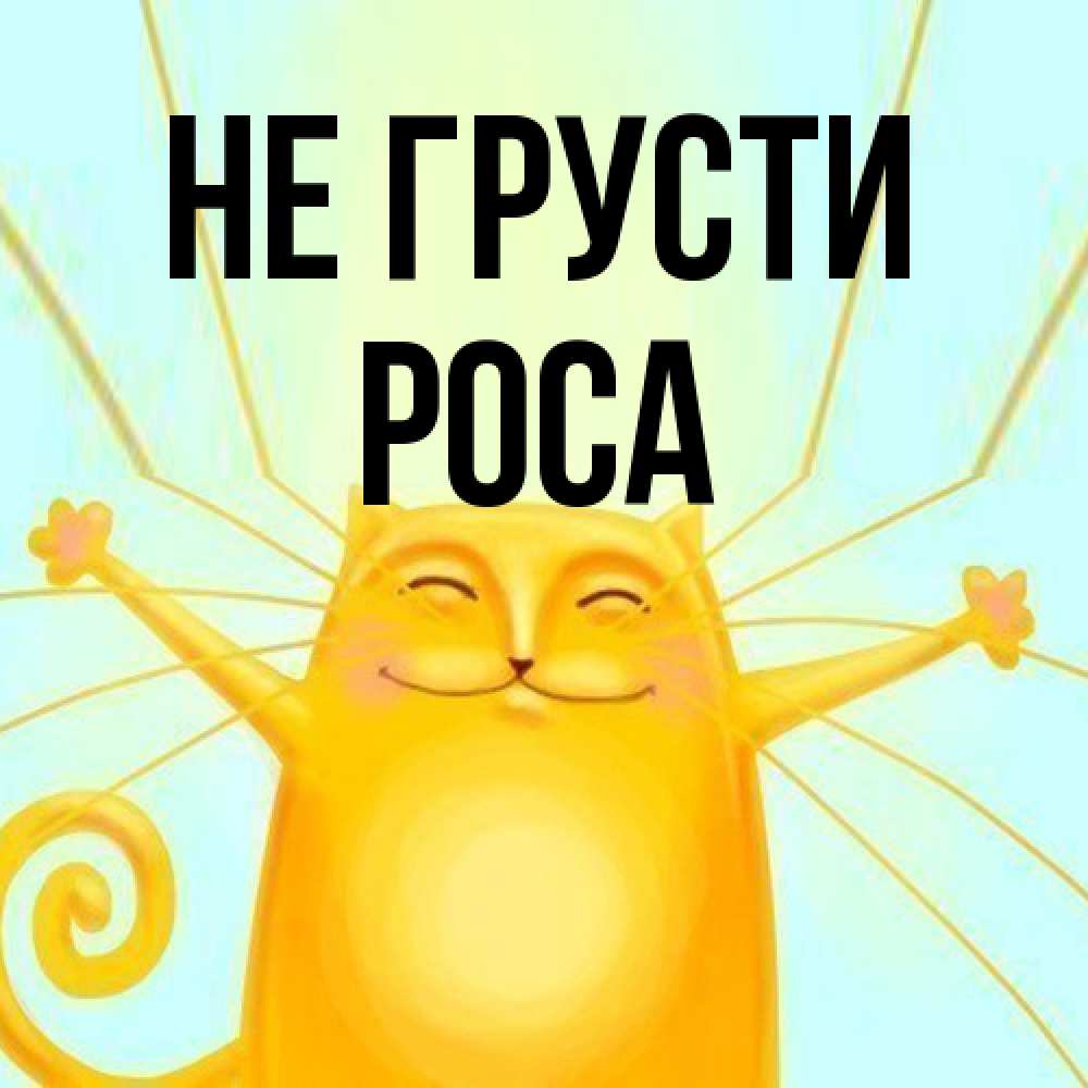 Открытка на каждый день с именем, Роса Не грусти обнимашки усатые Прикольная открытка с пожеланием онлайн скачать бесплатно 