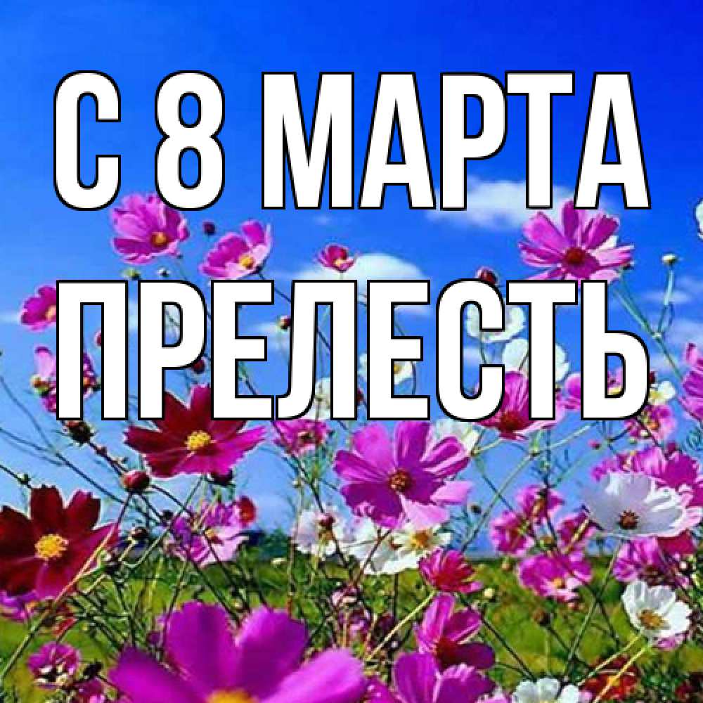 Открытка на каждый день с именем, прелесть C 8 МАРТА цветы Прикольная открытка с пожеланием онлайн скачать бесплатно 